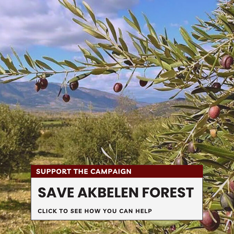 Save Akbelen Forest